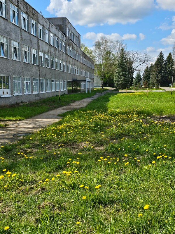 Газон
