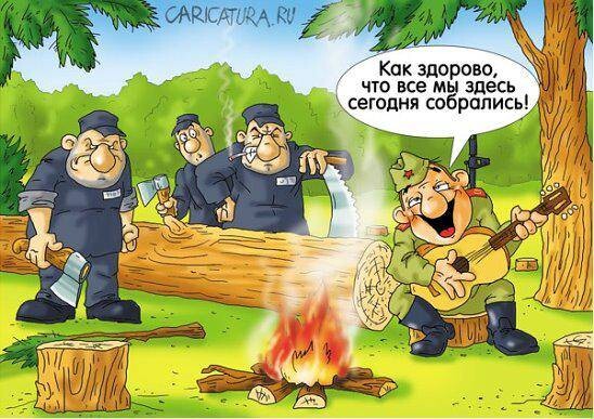 Лесоповал2