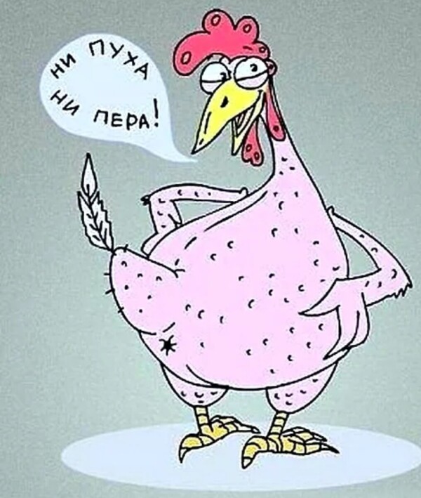 Куры